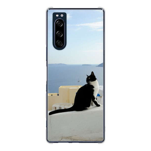 Xperia 5 SO-01M docomo 高画質仕上げ 背面印刷 ハードケース 【VA805 ネコと地中海】