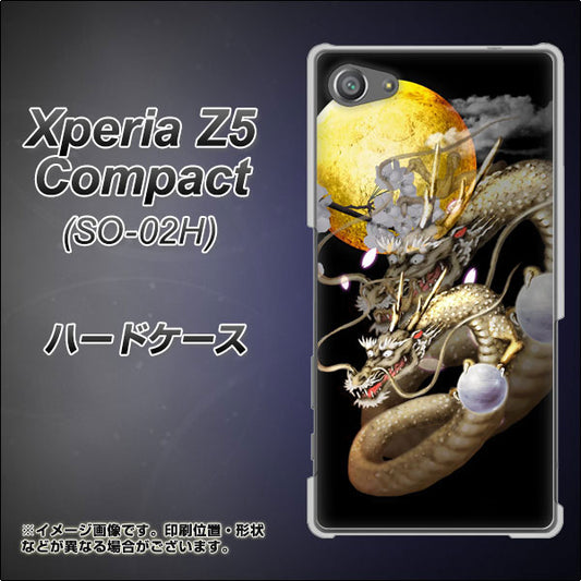 docomo エクスペリアZ5コンパクト SO-02H 高画質仕上げ 背面印刷 ハードケース【1003 月と龍】