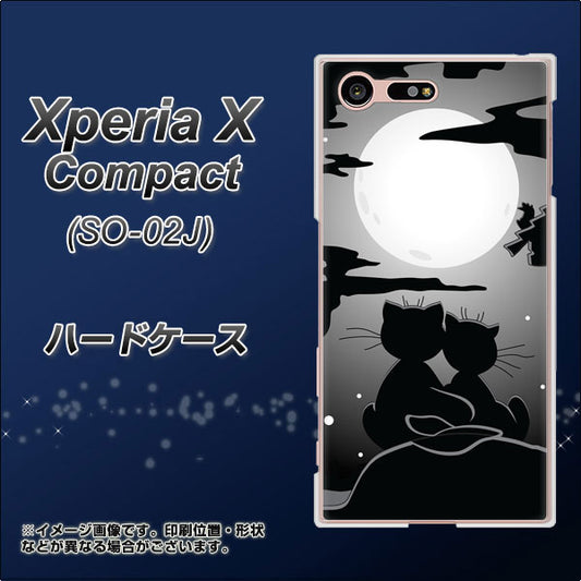 docomo エクスペリアXコンパクト SO-02J 高画質仕上げ 背面印刷 ハードケース【342 月夜の二人】
