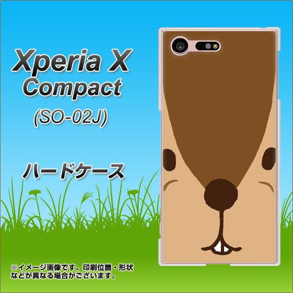 docomo エクスペリアXコンパクト SO-02J 高画質仕上げ 背面印刷 ハードケース【349 りす】