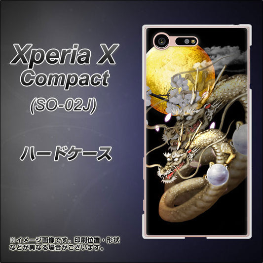docomo エクスペリアXコンパクト SO-02J 高画質仕上げ 背面印刷 ハードケース【1003 月と龍】