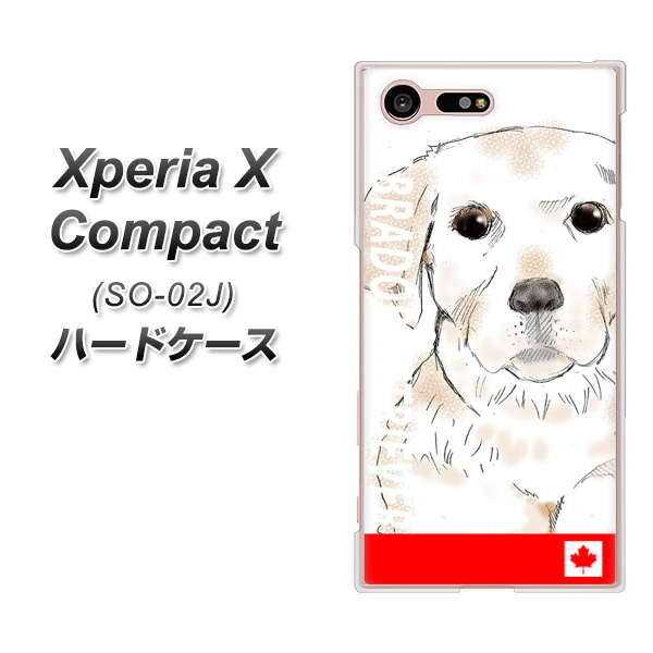 docomo エクスペリアXコンパクト SO-02J 高画質仕上げ 背面印刷 ハードケース【YD821 ラブラドールレトリバー02】