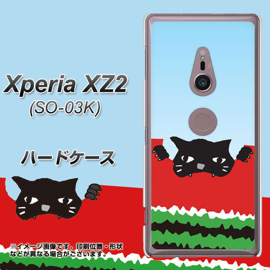 docomo エクスペリア XZ2 SO-03K 高画質仕上げ 背面印刷 ハードケース【IA815 すいかをかじるネコ(大)】