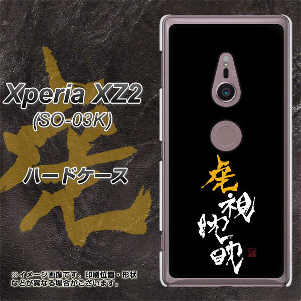 docomo エクスペリア XZ2 SO-03K 高画質仕上げ 背面印刷 ハードケース【OE803 虎視眈々】
