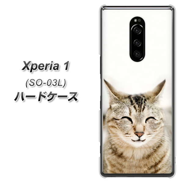 docomo エクスぺリア ワン SO-03L 高画質仕上げ 背面印刷 ハードケース【VA801 笑福ねこ】