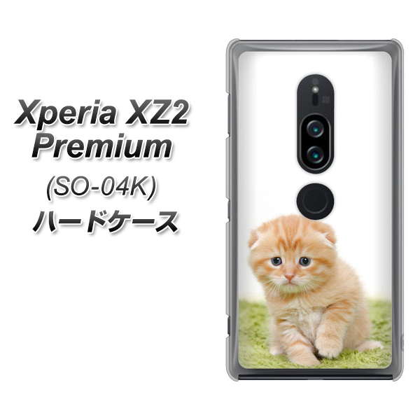 docomo エクスペリア XZ2 プレミアム SO-04K 高画質仕上げ 背面印刷 ハードケース【VA802 ネコこっそり】