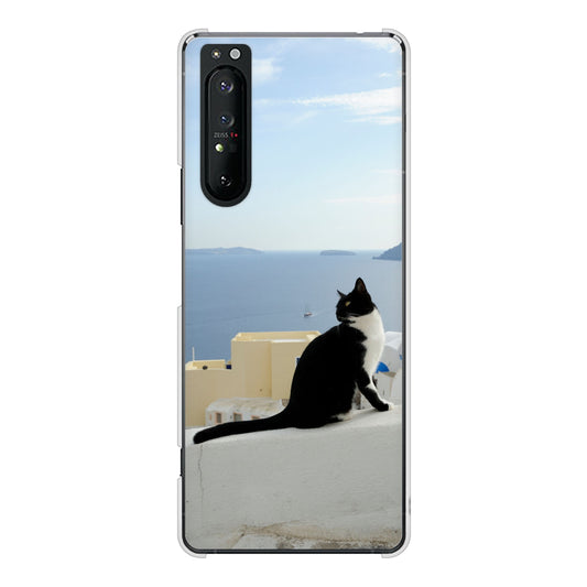 Xperia 1 II SO-51A docomo 高画質仕上げ 背面印刷 ハードケース 【VA805 ネコと地中海】