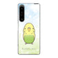 Xperia 1 V SO-51D docomo 高画質仕上げ 背面印刷 ハードケースセキセイインコ