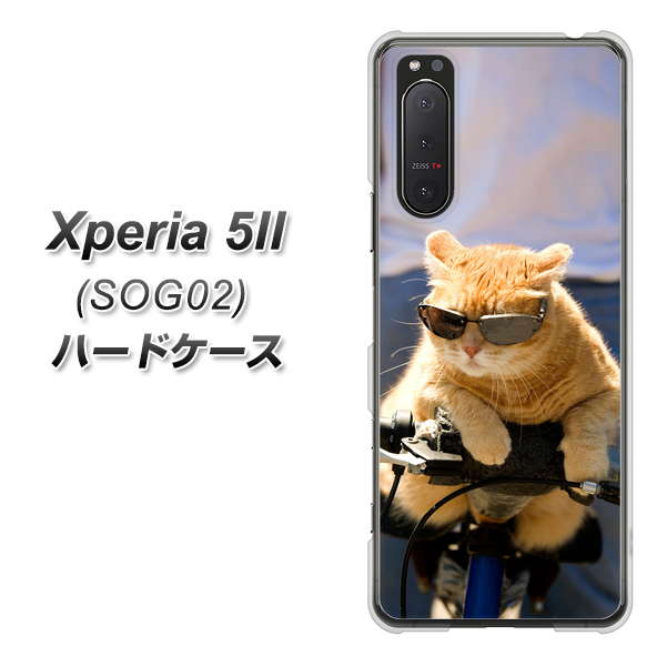 au エクスペリア5II SOG02 高画質仕上げ 背面印刷 ハードケース【595 にゃんとサイクル】