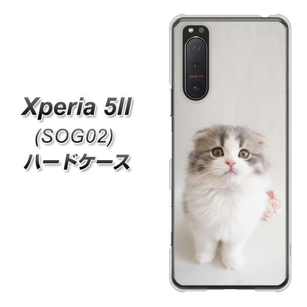 au エクスペリア5II SOG02 高画質仕上げ 背面印刷 ハードケース【VA803 まっていますネコ】
