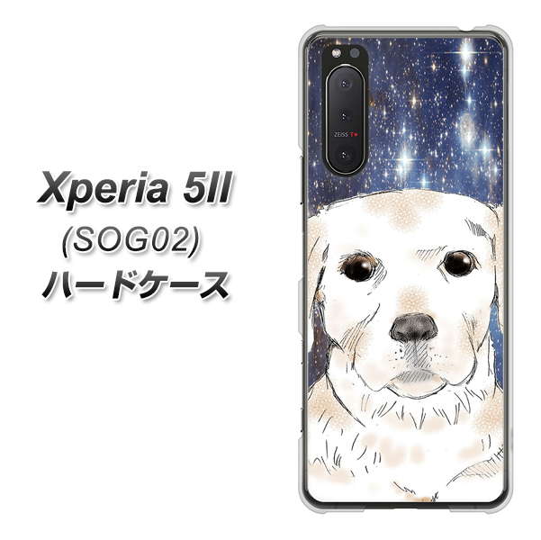 au エクスペリア5II SOG02 高画質仕上げ 背面印刷 ハードケース【YD820 ラブラドールレトリバー01】