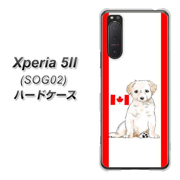 au エクスペリア5II SOG02 高画質仕上げ 背面印刷 ハードケース【YD824 ラブラドールレトリバー05】