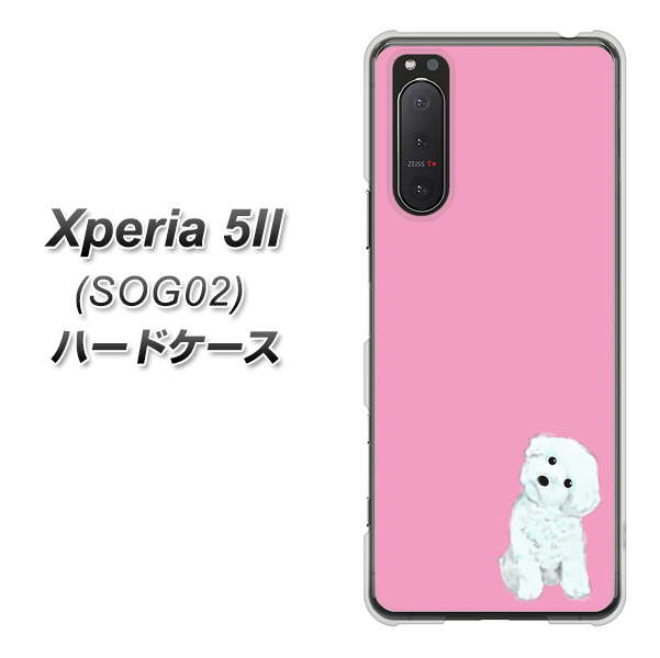 au エクスペリア5II SOG02 高画質仕上げ 背面印刷 ハードケース【YJ069 トイプードルホワイト（ピンク）】