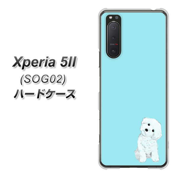 au エクスペリア5II SOG02 高画質仕上げ 背面印刷 ハードケース【YJ070 トイプードルホワイト（ブルー）】