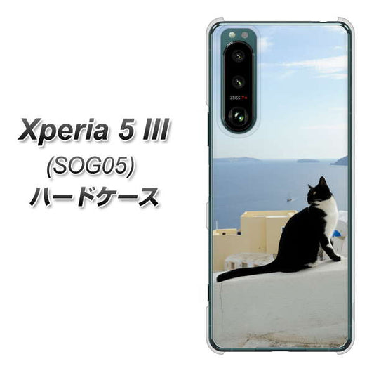 Xperia 5 III SOG05 au 高画質仕上げ 背面印刷 ハードケース【VA805 ネコと地中海】