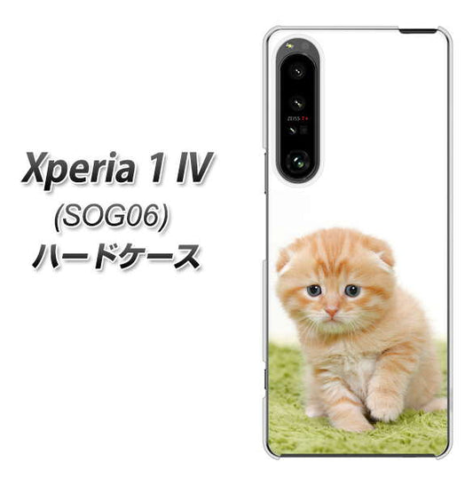 Xperia 1 IV SOG06 au 高画質仕上げ 背面印刷 ハードケース【VA802 ネコこっそり】