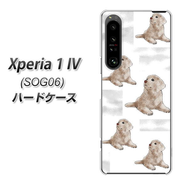 Xperia 1 IV SOG06 au 高画質仕上げ 背面印刷 ハードケース【YD823 ラブラドールレトリバー04】