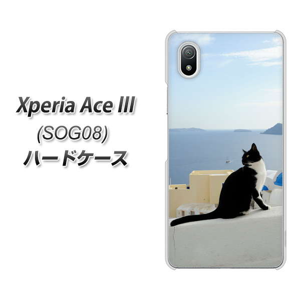 Xperia Ace III SOG08 au 高画質仕上げ 背面印刷 ハードケース【VA805 ネコと地中海】