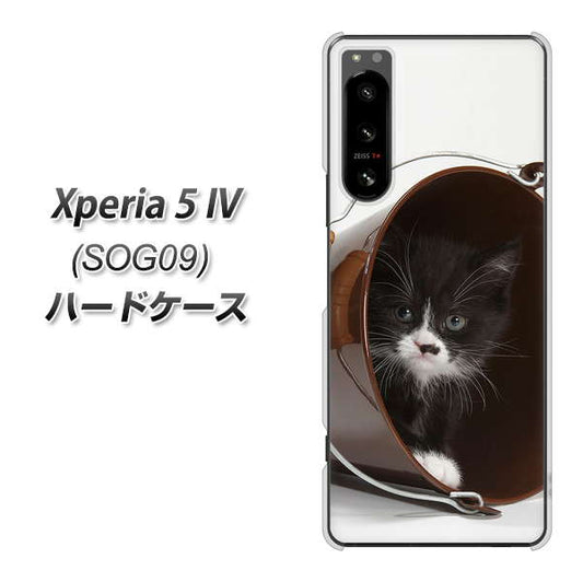 Xperia 5 IV SOG09 au 高画質仕上げ 背面印刷 ハードケース【VA800 ネコとバケツ】