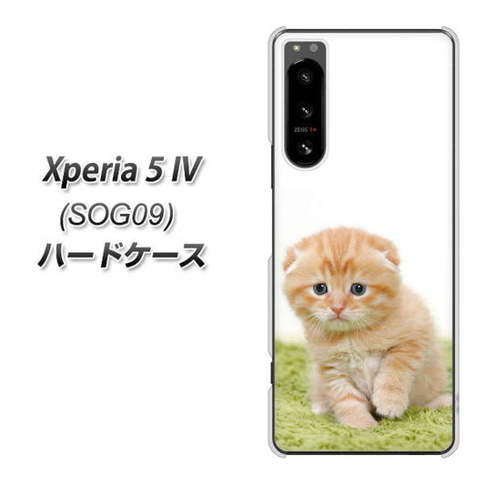 Xperia 5 IV SOG09 au 高画質仕上げ 背面印刷 ハードケース【VA802 ネコこっそり】