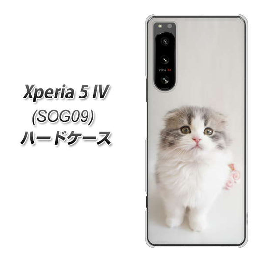 Xperia 5 IV SOG09 au 高画質仕上げ 背面印刷 ハードケース【VA803 まっていますネコ】