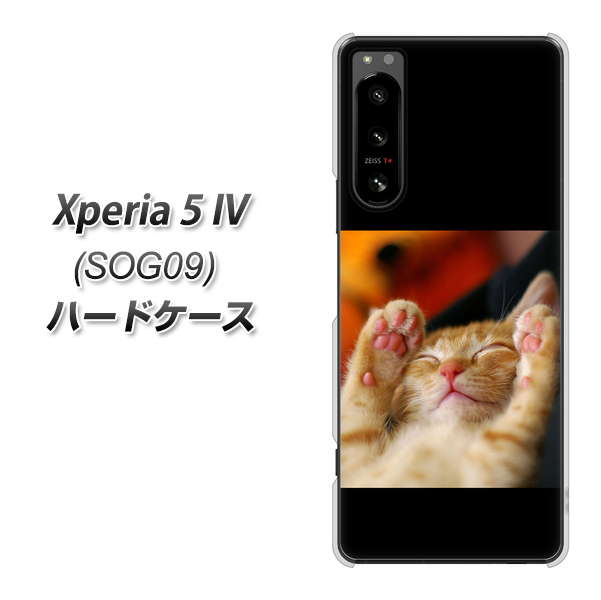 Xperia 5 IV SOG09 au 高画質仕上げ 背面印刷 ハードケース【VA804 爆睡するネコ】
