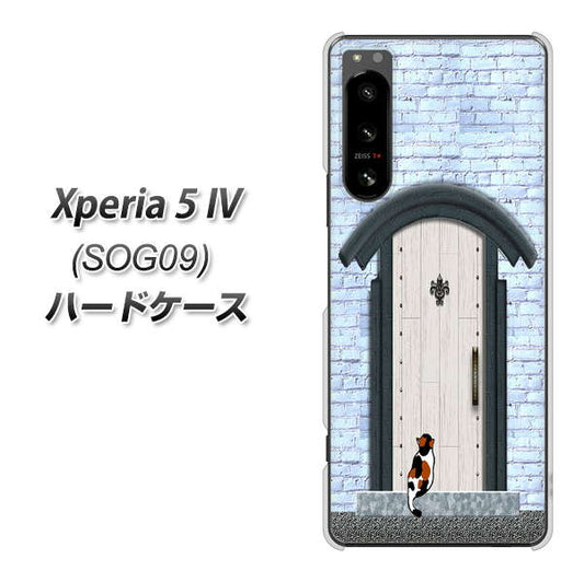 Xperia 5 IV SOG09 au 高画質仕上げ 背面印刷 ハードケース【YA951 石ドア01】