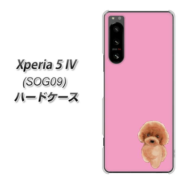 Xperia 5 IV SOG09 au 高画質仕上げ 背面印刷 ハードケース【YJ049 トイプードルレッド（ピンク）】