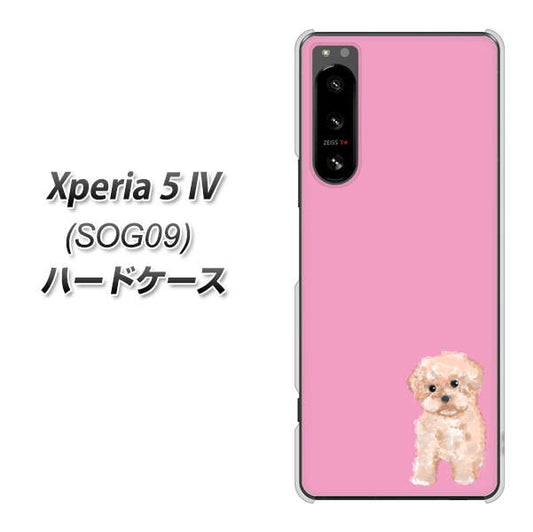 Xperia 5 IV SOG09 au 高画質仕上げ 背面印刷 ハードケース【YJ061 トイプードルアプリコット（ピンク）】