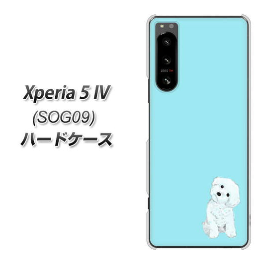 Xperia 5 IV SOG09 au 高画質仕上げ 背面印刷 ハードケース【YJ070 トイプードルホワイト（ブルー）】