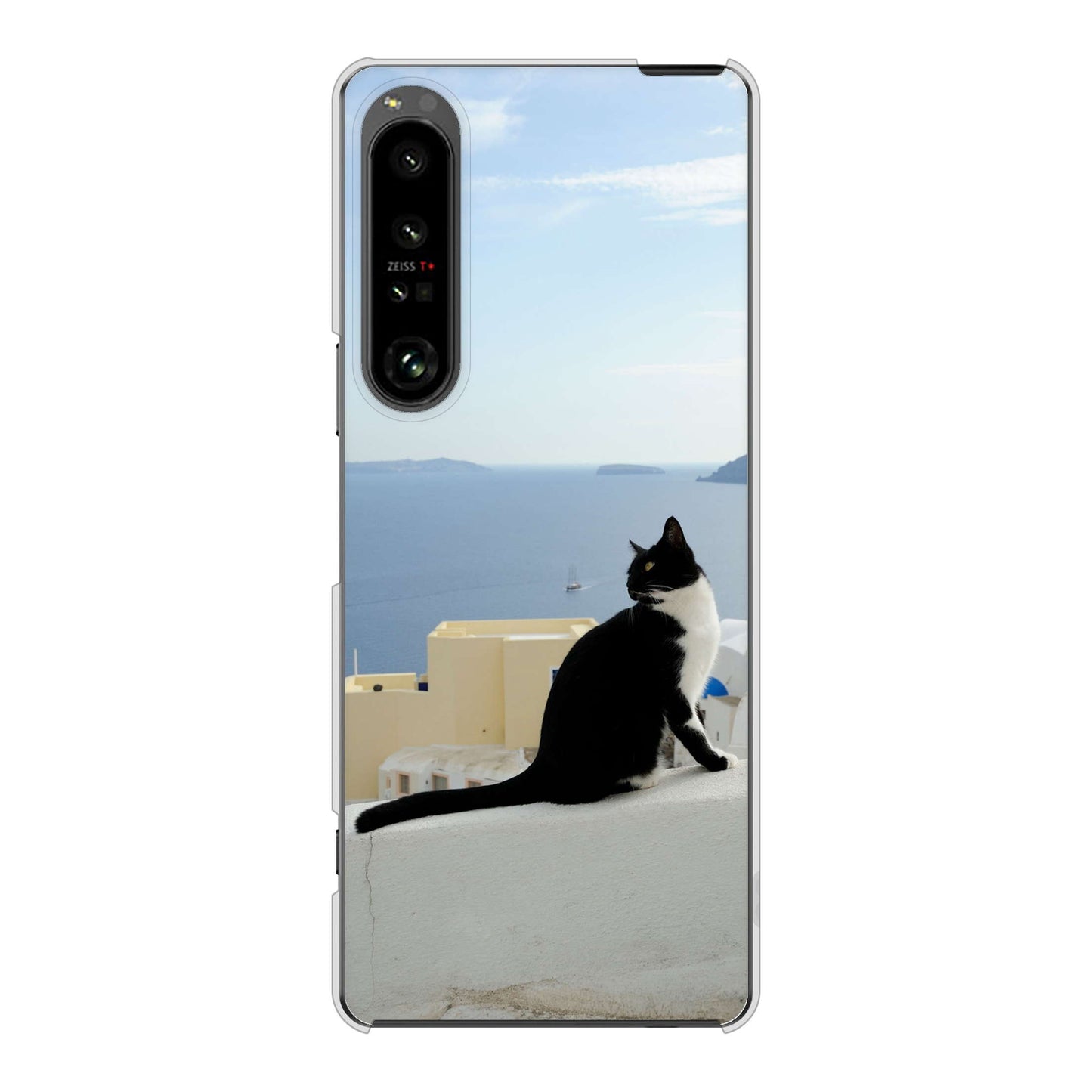 Xperia 1 V SOG10 au 高画質仕上げ 背面印刷 ハードケース 【VA805 ネコと地中海】