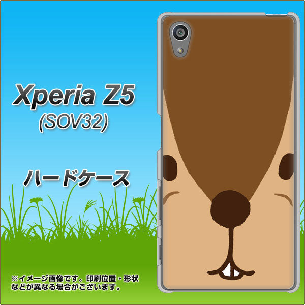au エクスペリアZ5 SOV32 高画質仕上げ 背面印刷 ハードケース【349 りす】