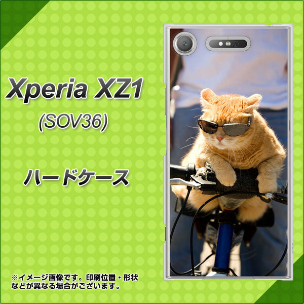 au エクスペリア XZ1 SOV36 高画質仕上げ 背面印刷 ハードケース【595 にゃんとサイクル】