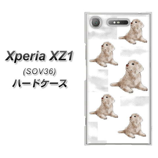 au エクスペリア XZ1 SOV36 高画質仕上げ 背面印刷 ハードケース【YD823 ラブラドールレトリバー04】