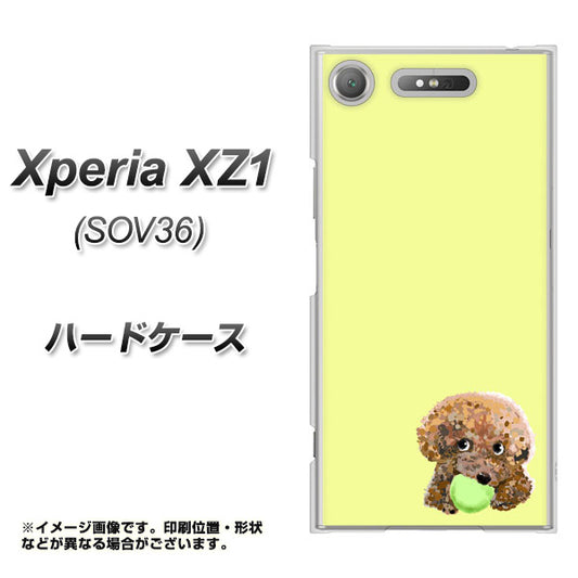 au エクスペリア XZ1 SOV36 高画質仕上げ 背面印刷 ハードケース【YJ056 トイプードル＆ボール（イエロー）】