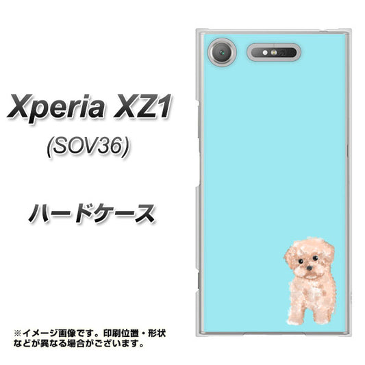 au エクスペリア XZ1 SOV36 高画質仕上げ 背面印刷 ハードケース【YJ062 トイプードルアプリコット（ブルー）】