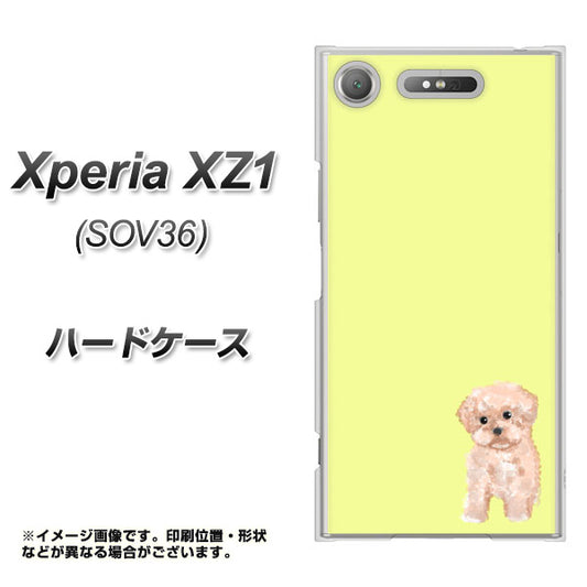 au エクスペリア XZ1 SOV36 高画質仕上げ 背面印刷 ハードケース【YJ064 トイプードルアプリコット（イエロー）】