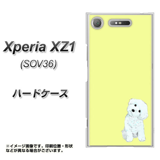 au エクスペリア XZ1 SOV36 高画質仕上げ 背面印刷 ハードケース【YJ072 トイプードルホワイト（イエロー）】