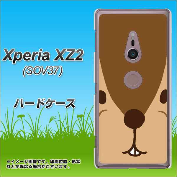 au エクスペリア XZ2 SOV37 高画質仕上げ 背面印刷 ハードケース【349 りす】