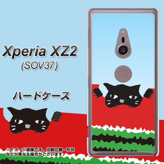 au エクスペリア XZ2 SOV37 高画質仕上げ 背面印刷 ハードケース【IA815 すいかをかじるネコ(大)】