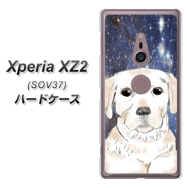 au エクスペリア XZ2 SOV37 高画質仕上げ 背面印刷 ハードケース【YD820 ラブラドールレトリバー01】