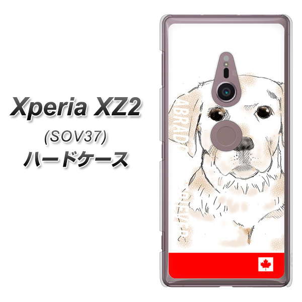 au エクスペリア XZ2 SOV37 高画質仕上げ 背面印刷 ハードケース【YD821 ラブラドールレトリバー02】