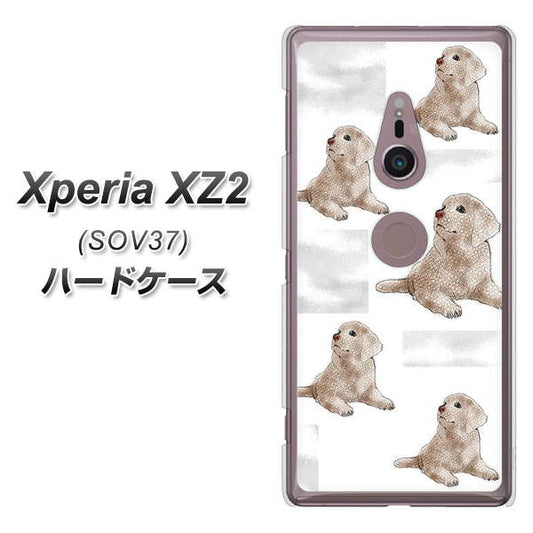 au エクスペリア XZ2 SOV37 高画質仕上げ 背面印刷 ハードケース【YD823 ラブラドールレトリバー04】