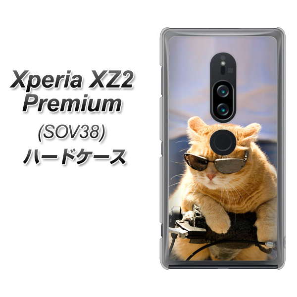 au エクスペリア XZ2 プレミアム SOV38 高画質仕上げ 背面印刷 ハードケース【595 にゃんとサイクル】