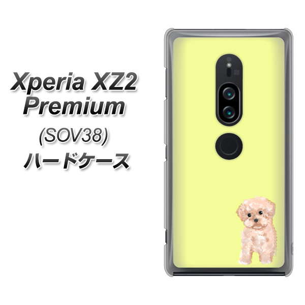 au エクスペリア XZ2 プレミアム SOV38 高画質仕上げ 背面印刷 ハードケース【YJ064 トイプードルアプリコット（イエロー）】
