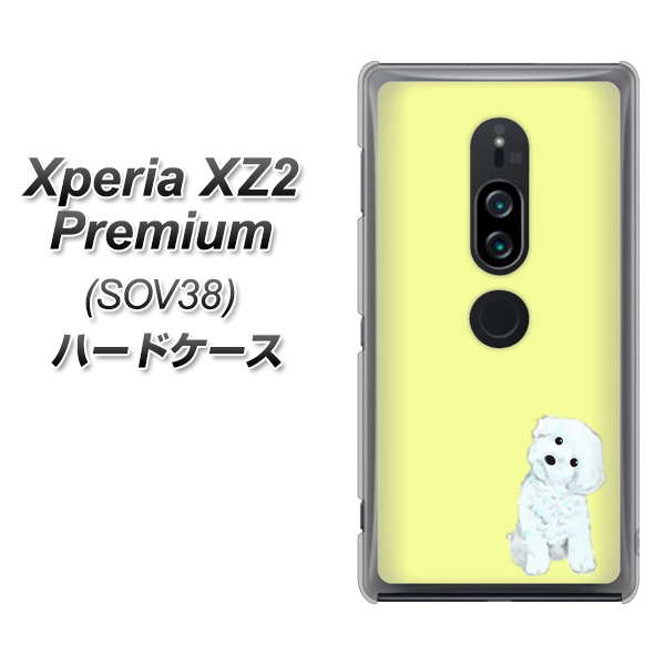 au エクスペリア XZ2 プレミアム SOV38 高画質仕上げ 背面印刷 ハードケース【YJ072 トイプードルホワイト（イエロー）】