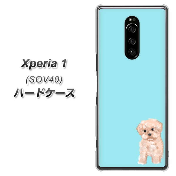 au エクスぺリア ワン SOV40 高画質仕上げ 背面印刷 ハードケース【YJ062 トイプードルアプリコット（ブルー）】