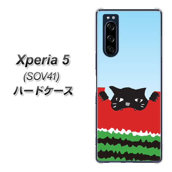 au エクスペリア5 SOV41 高画質仕上げ 背面印刷 ハードケース【IA815 すいかをかじるネコ(大)】