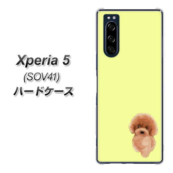 au エクスペリア5 SOV41 高画質仕上げ 背面印刷 ハードケース【YJ051 トイプードルレッド（イエロー）】