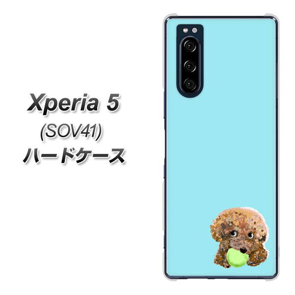 au エクスペリア5 SOV41 高画質仕上げ 背面印刷 ハードケース【YJ054 トイプードル＆ボール（ブルー）】